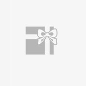 愛(ài)國(guó)者